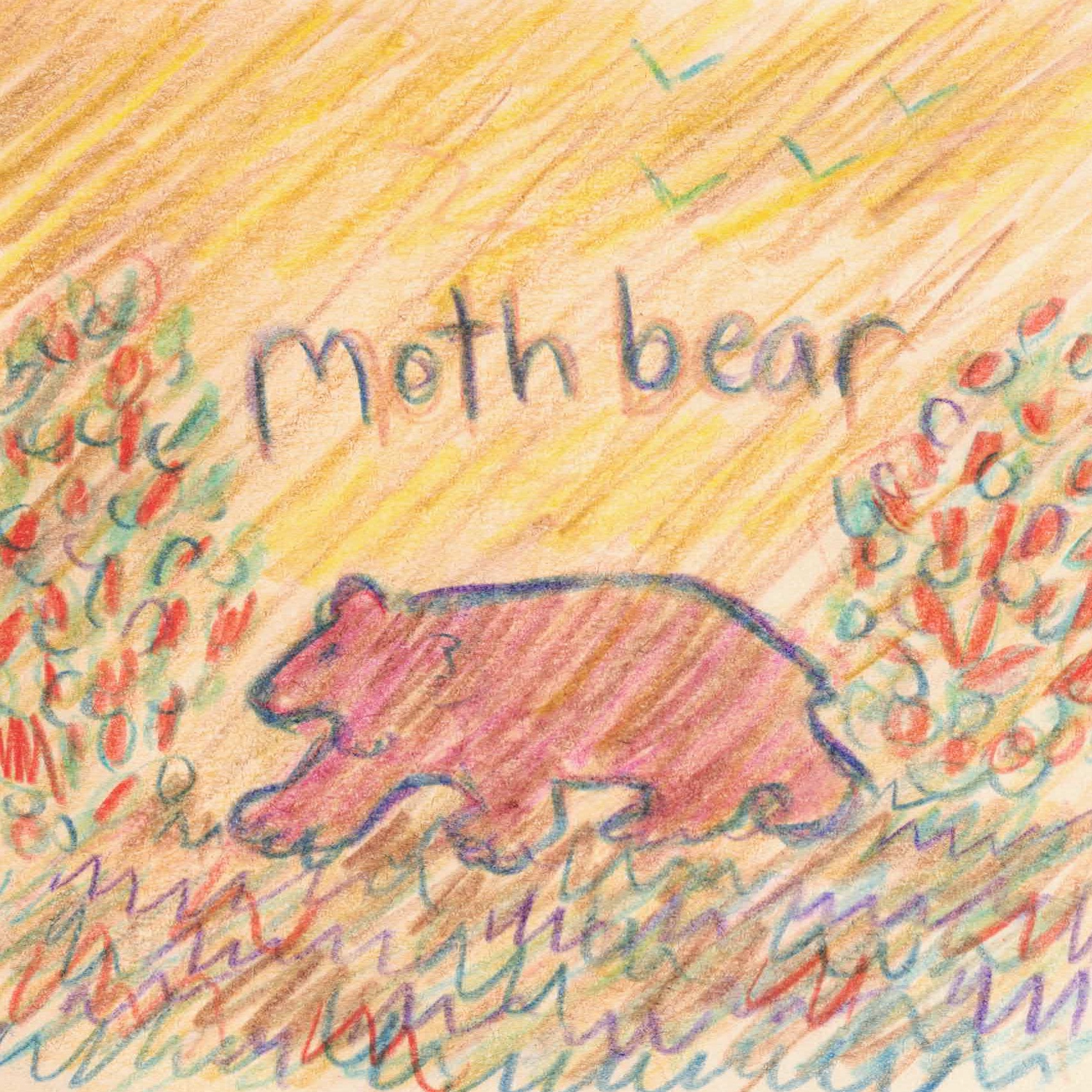 a pencil drawing of a bear labelled mothbear